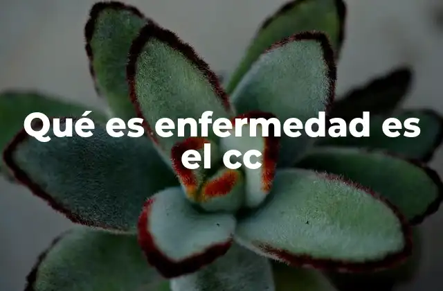 Qué es Enfermedad es el Cc
