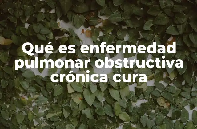 Qué es Enfermedad Pulmonar Obstructiva Crónica Cura