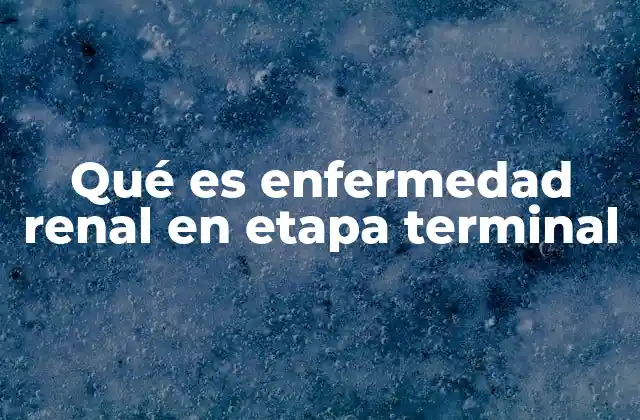 Qué es Enfermedad Renal en Etapa Terminal