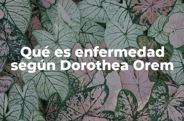 Qué es Enfermedad según Dorothea Orem