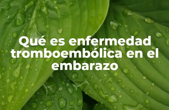 Qué es Enfermedad Tromboembólica en el Embarazo