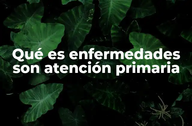 Qué es Enfermedades Son Atención Primaria 2 El papel de los centros de salud en la gestión de enfermedades comunes