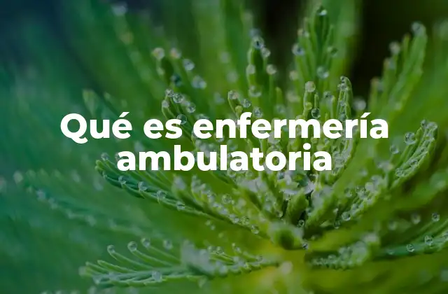 Qué es Enfermería Ambulatoria 2 Cómo se diferencia de otros modelos de atención sanitaria
