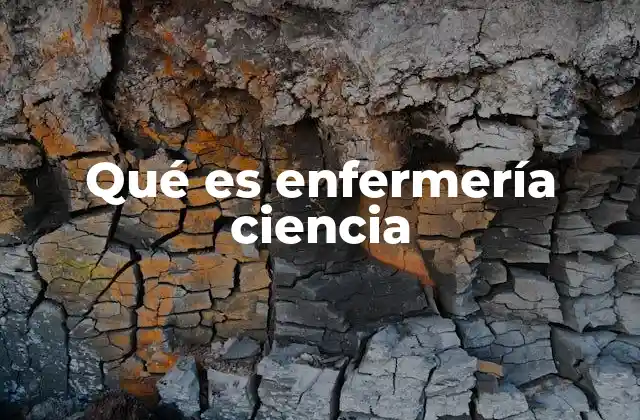 Qué es Enfermería Ciencia