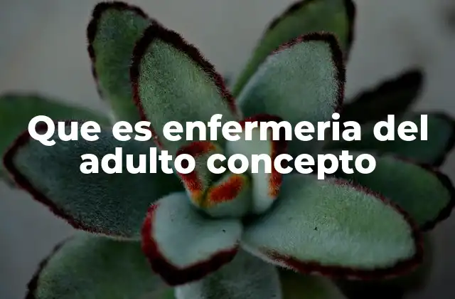 Que es Enfermeria Del Adulto Concepto