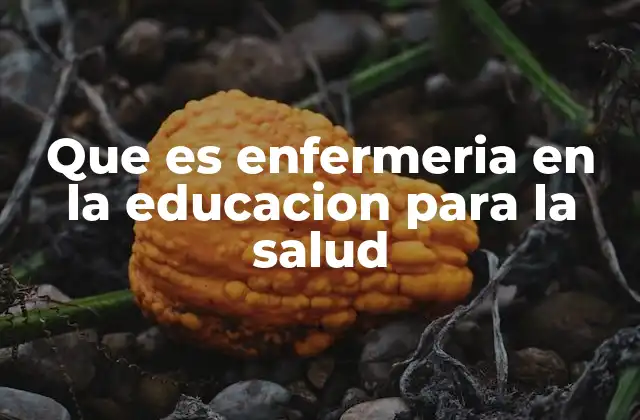 Que es Enfermeria en la Educacion para la Salud 2 El papel de la enfermería en la formación sanitaria