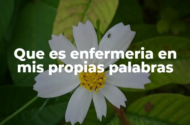 Que es Enfermeria en Mis Propias Palabras 2 El rol del enfermero en el sistema de salud