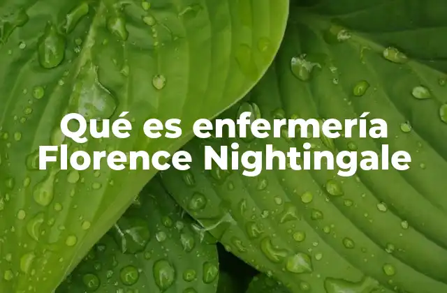 Qué es Enfermería Florence Nightingale
