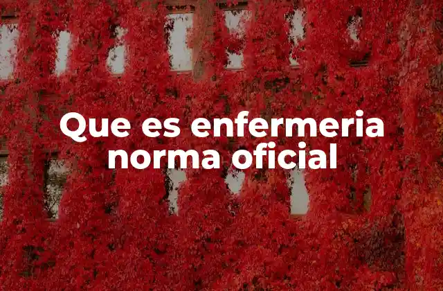 Que es Enfermeria Norma Oficial