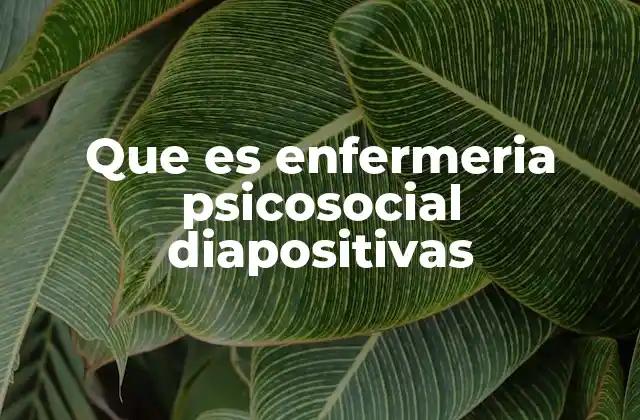 Que es Enfermeria Psicosocial Diapositivas