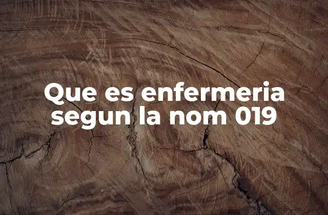 Que es Enfermeria Segun la Nom 019
