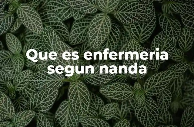 Que es Enfermeria Segun Nanda