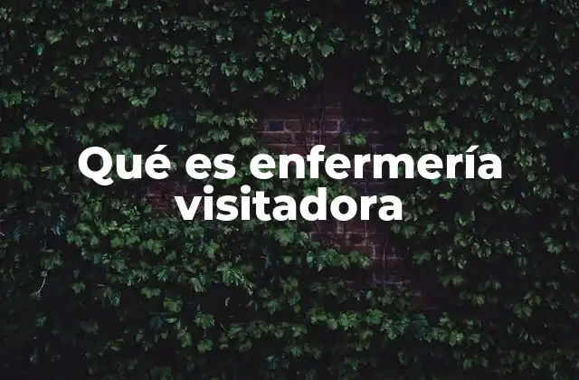 Qué es Enfermería Visitadora