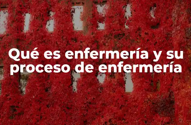 Qué es Enfermería y Su Proceso de Enfermería