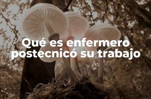 Qué es Enfermero Postecnicó Su Trabajo 2 La importancia del enfermero postecnicó en el sistema de salud