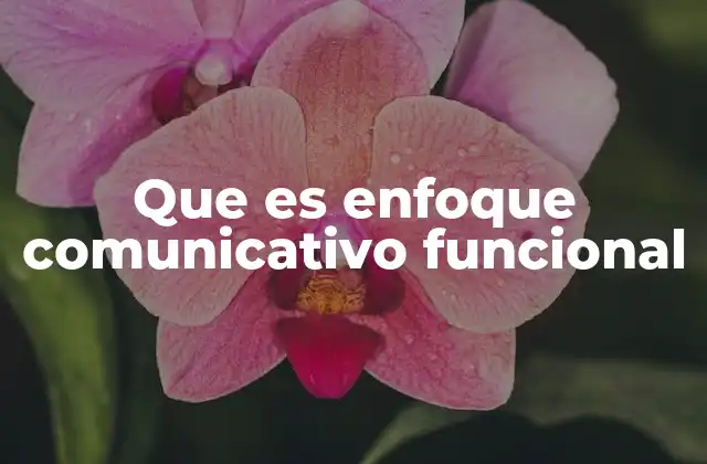 Que es Enfoque Comunicativo Funcional