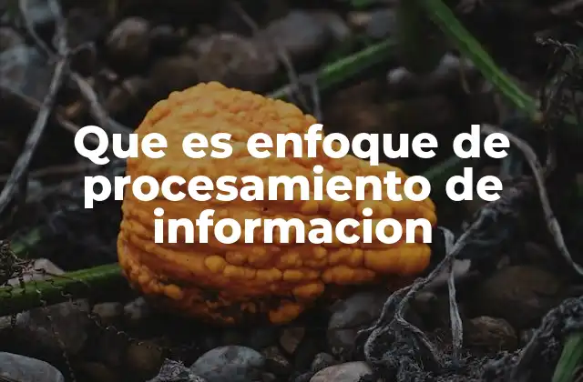 Que es Enfoque de Procesamiento de Informacion