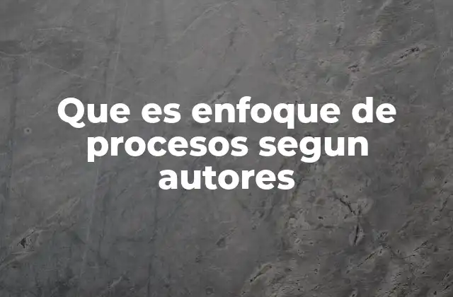 Que es Enfoque de Procesos Segun Autores