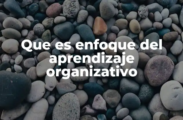 Que es Enfoque Del Aprendizaje Organizativo 2 Cómo las organizaciones pueden convertir el conocimiento en ventaja competitiva