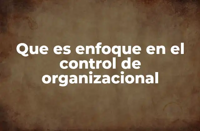 Que es Enfoque en el Control de Organizacional 2 El papel del control en la estabilidad empresarial