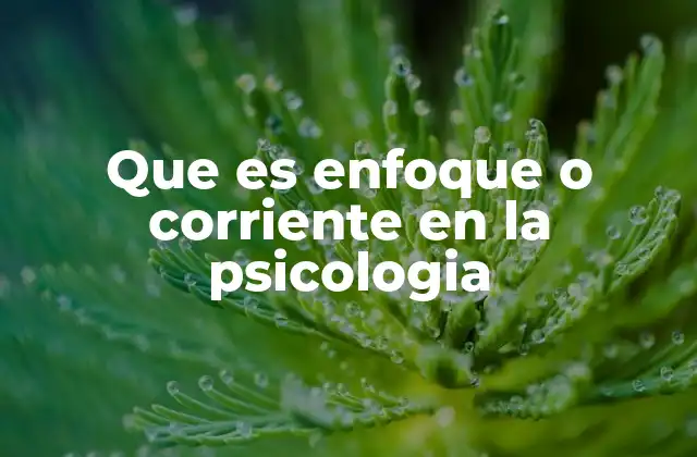 Que es Enfoque o Corriente en la Psicologia