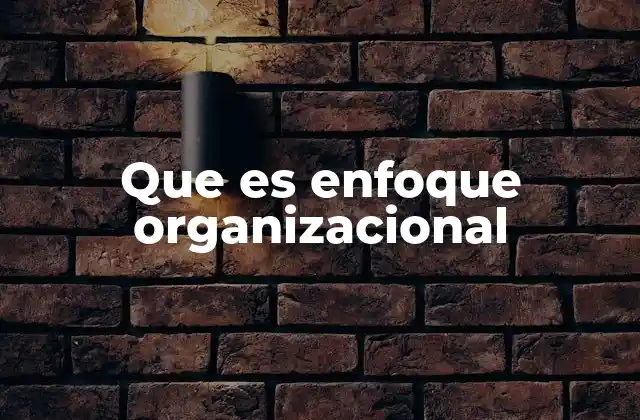Que es Enfoque Organizacional