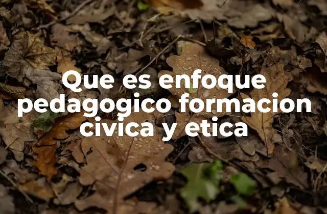 Que es Enfoque Pedagogico Formacion Civica y Etica