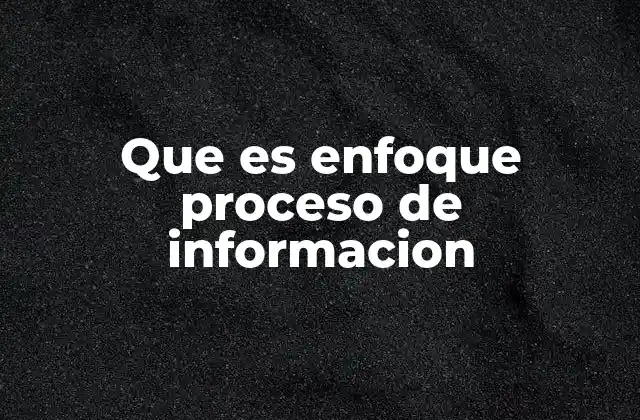 Que es Enfoque Proceso de Informacion