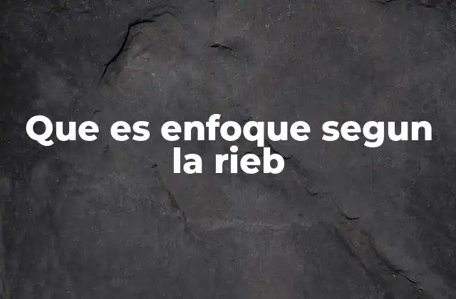 Que es Enfoque Segun la Rieb
