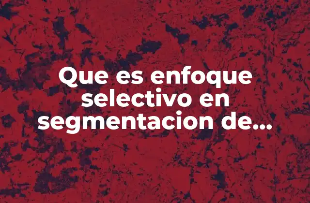 Que es Enfoque Selectivo en Segmentacion de Mercado Meta