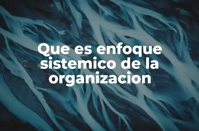 Que es Enfoque Sistemico de la Organizacion