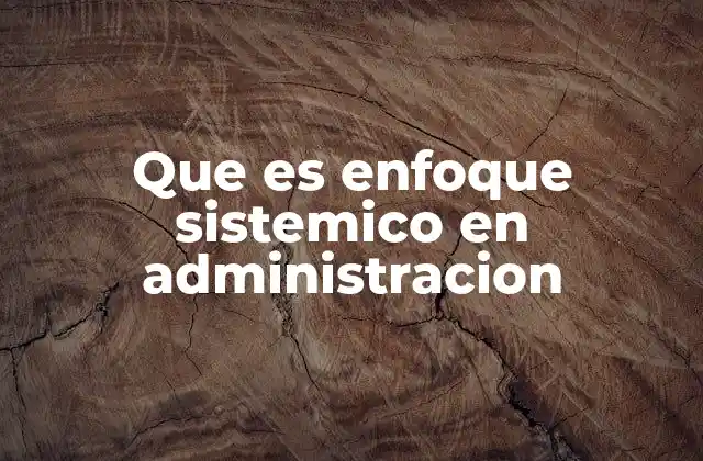 Que es Enfoque Sistemico en Administracion