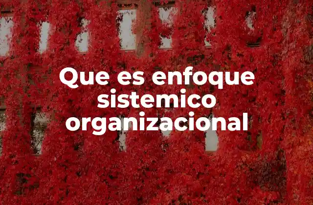 Que es Enfoque Sistemico Organizacional
