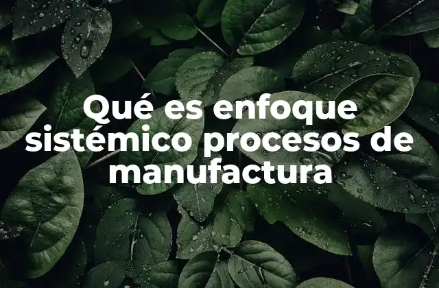 Qué es Enfoque Sistémico Procesos de Manufactura 2 La importancia del pensamiento sistémico en la manufactura moderna