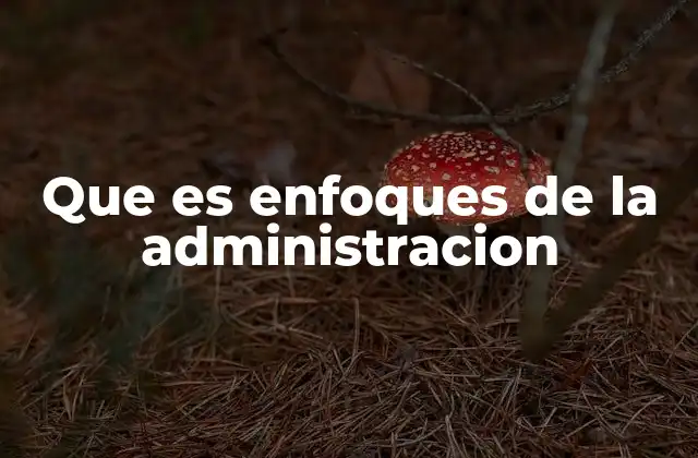 Que es Enfoques de la Administracion