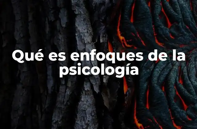 Qué es Enfoques de la Psicología