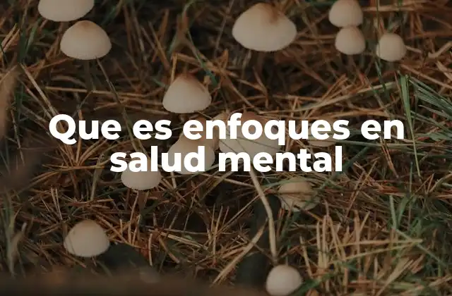 Que es Enfoques en Salud Mental