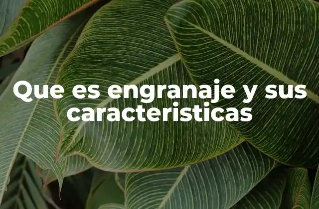 Que es Engranaje y Sus Caracteristicas