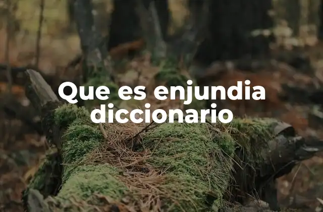 Que es Enjundia Diccionario