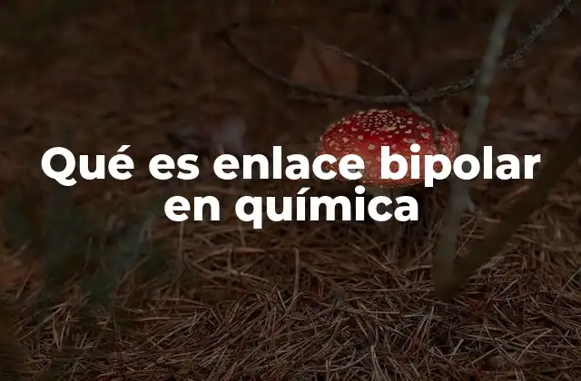 Qué es Enlace Bipolar en Química