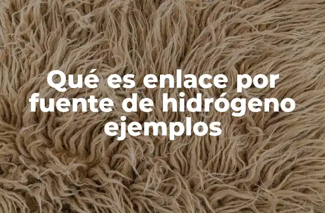 Qué es Enlace por Fuente de Hidrógeno Ejemplos