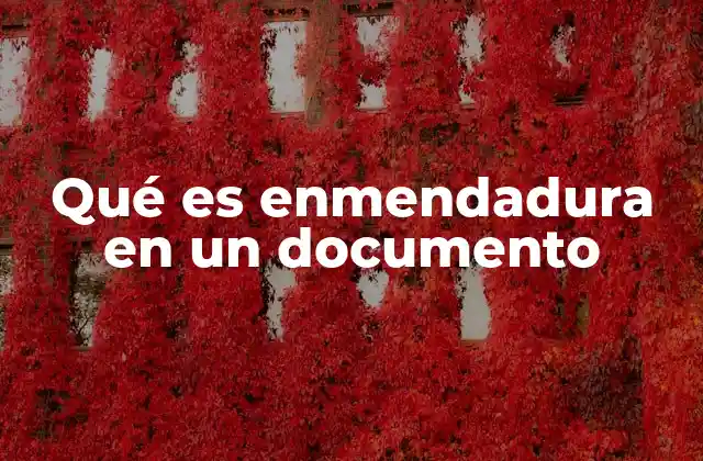 Qué es Enmendadura en un Documento