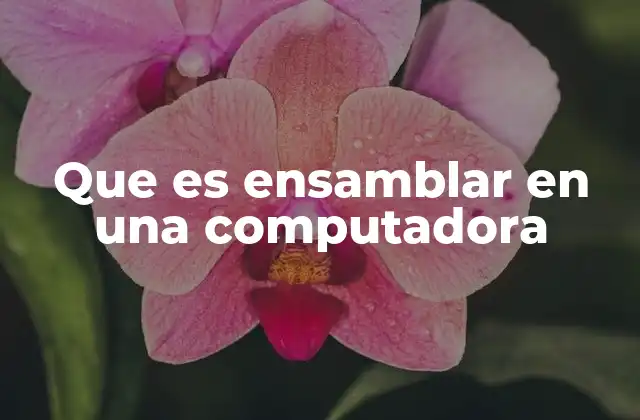 Que es Ensamblar en una Computadora