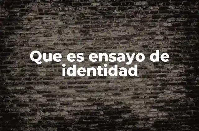 Que es Ensayo de Identidad