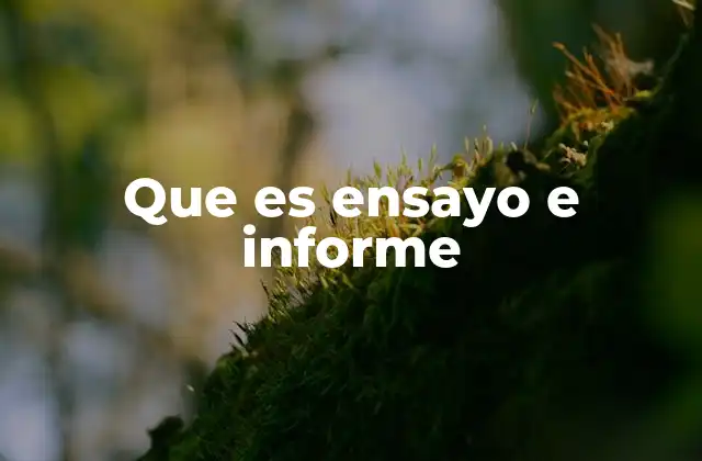 Que es Ensayo e Informe