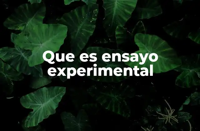 Que es Ensayo Experimental