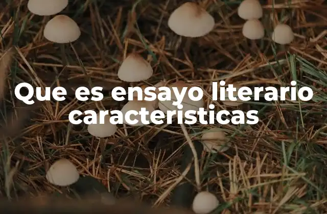 Que es Ensayo Literario Caracteristicas