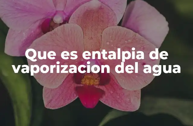 Que es Entalpia de Vaporizacion Del Agua