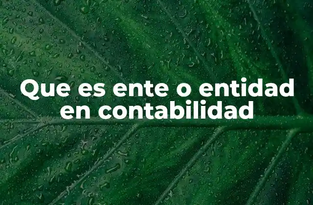 Que es Ente o Entidad en Contabilidad