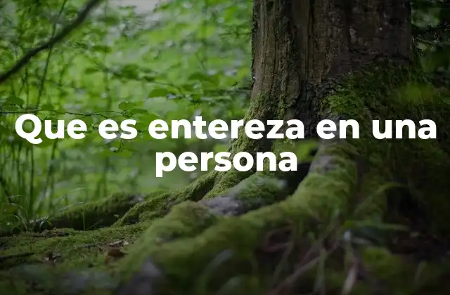 Que es Entereza en una Persona